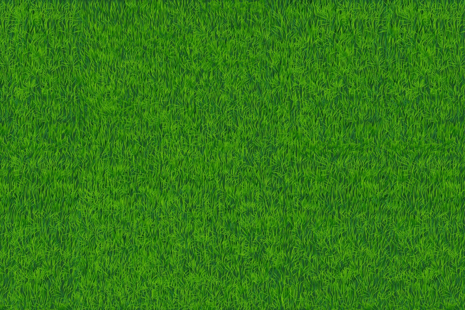 Urban Turf field view